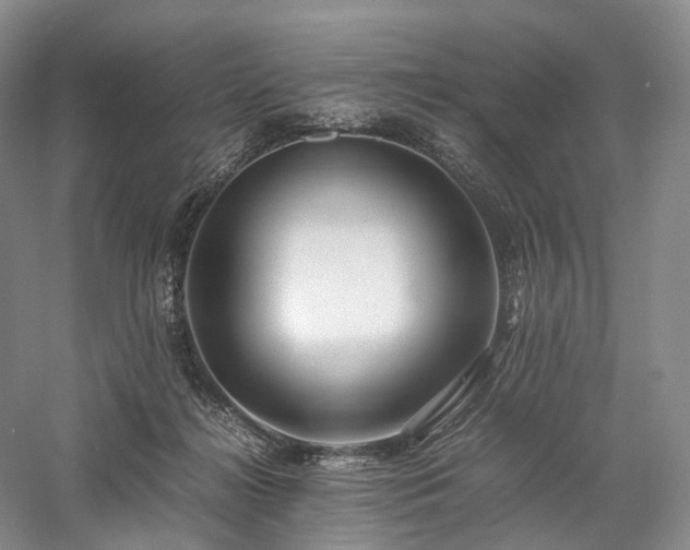 X0000058130268200509231126