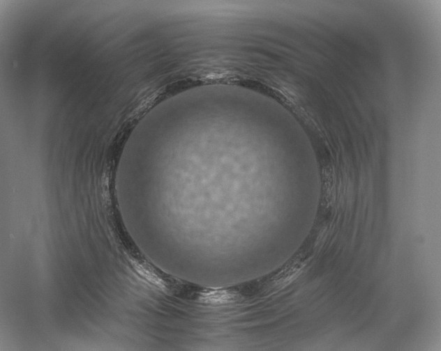 X0000058130269200509231126