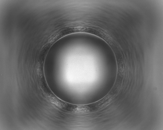 X0000058130270200509231126