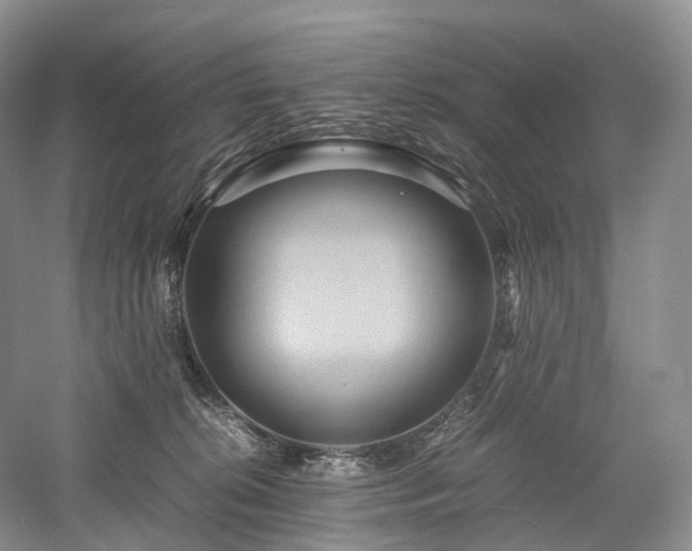 X0000058130276200509231126