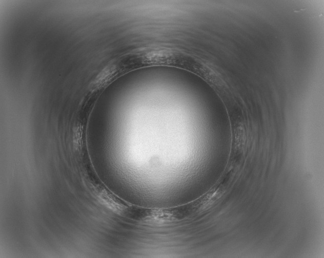 X0000058130278200509231126