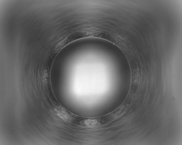 X0000058130279200509231126