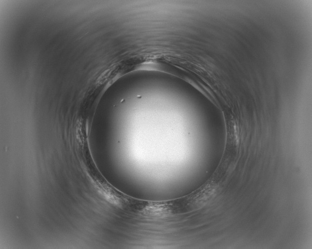 X0000058130280200509231127