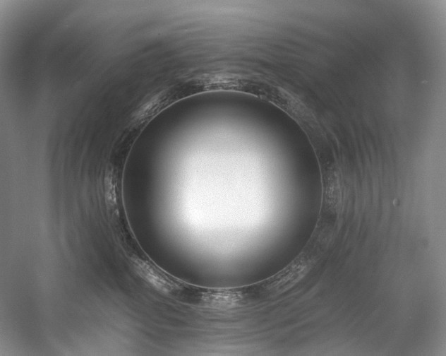 X0000058130282200509231127
