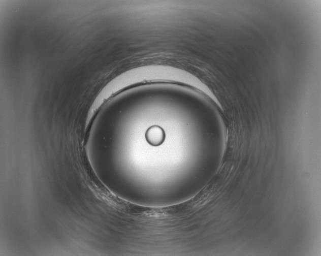 X0000058130284200509231127
