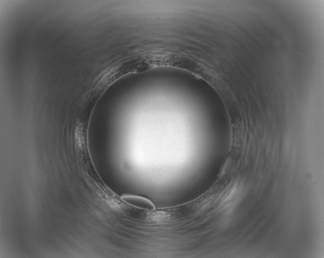 X0000058130287200509231127