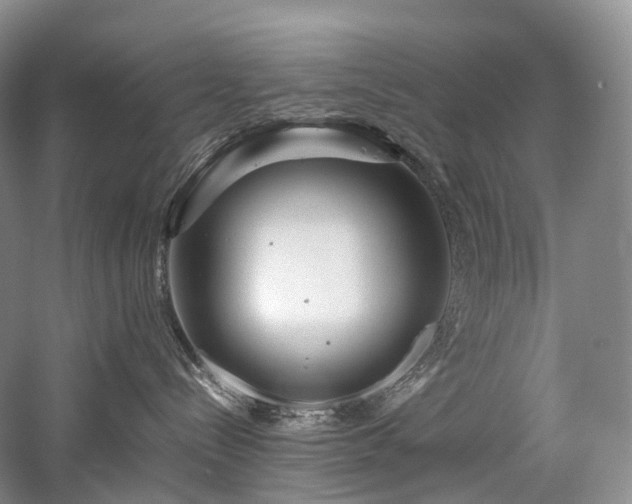 X0000058130288200509231127