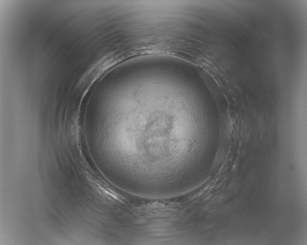 X0000058130290200509231126