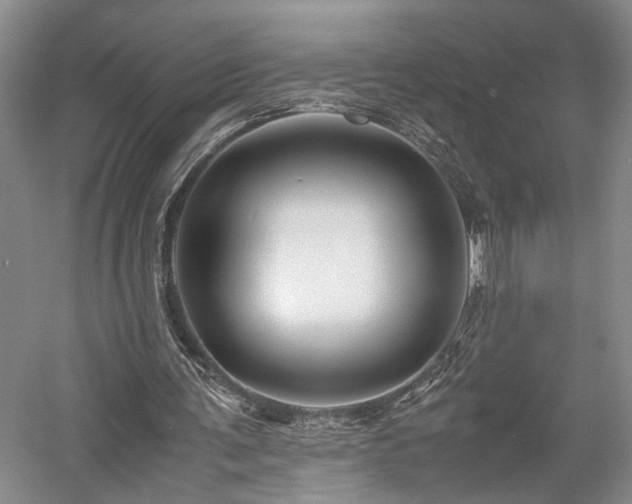 X0000058130291200509231126
