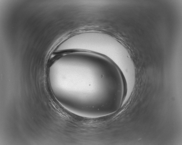 X0000058130293200509231126