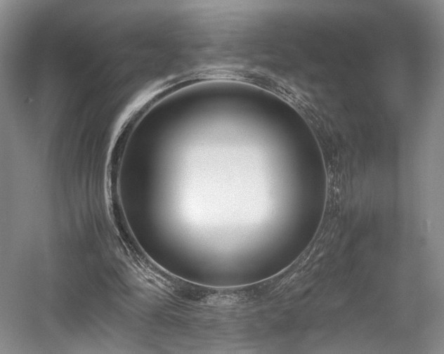 X0000058130294200509231126