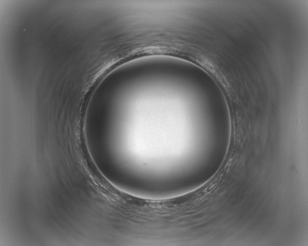 X0000058130297200509231126