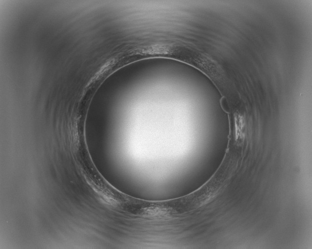 X0000058130300200509231126