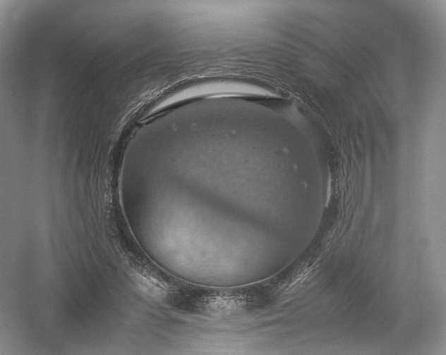 X0000058130303200509231126