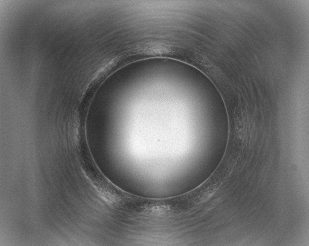 X0000058130304200509231126