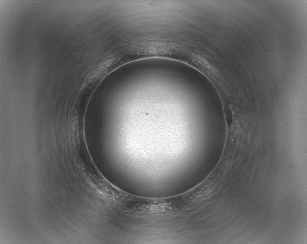 X0000058130306200509231126