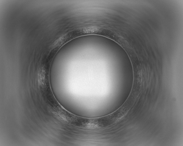 X0000058130308200509231126