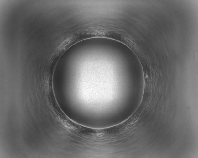 X0000058130309200509231125