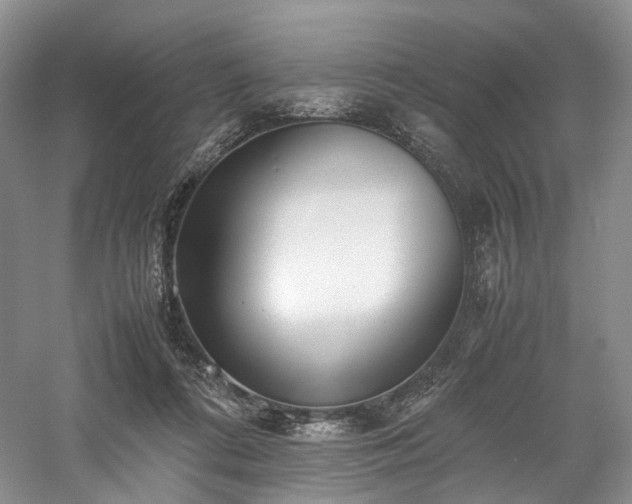 X0000058130312200509231125