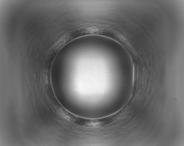 X0000058130313200509231125