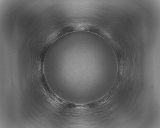 X0000058130314200509231125