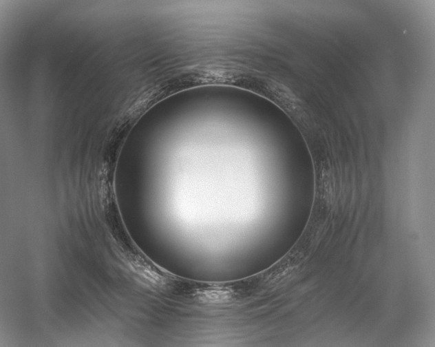 X0000058130318200509231125