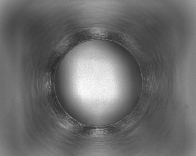 X0000058130320200509231125