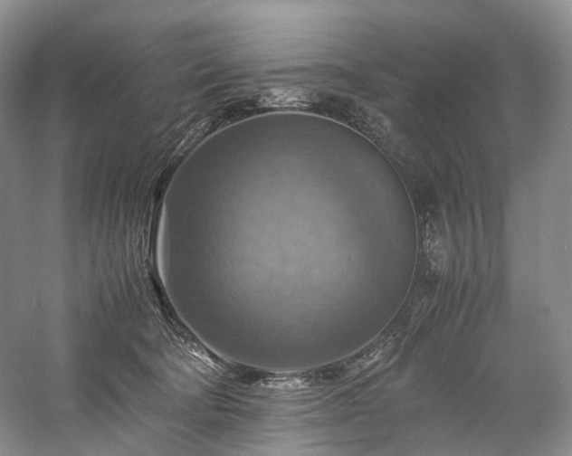 X0000058130322200509231125