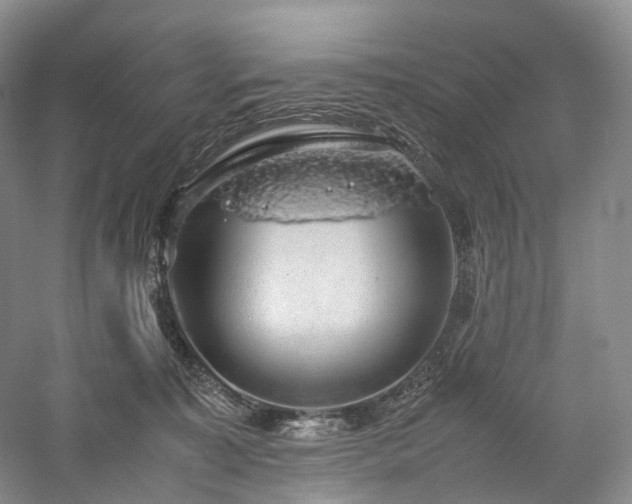 X0000058130323200509231125
