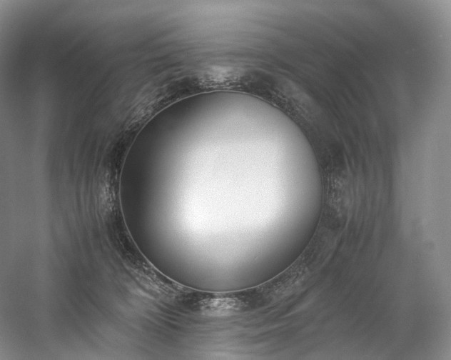 X0000058130324200509231125