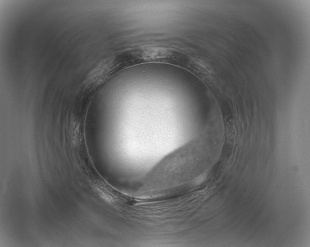 X0000058130327200509231125