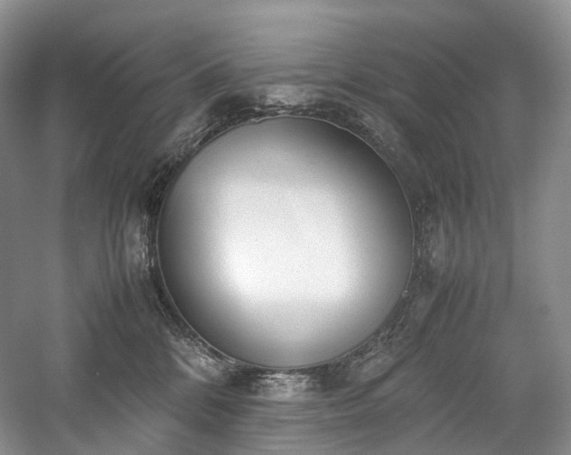 X0000058130328200509231125