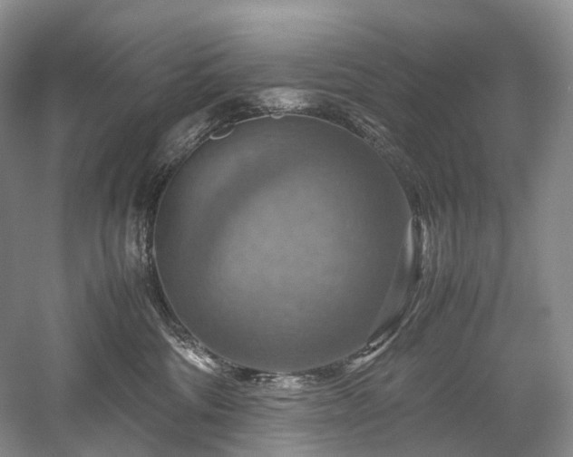 X0000058130330200509231125