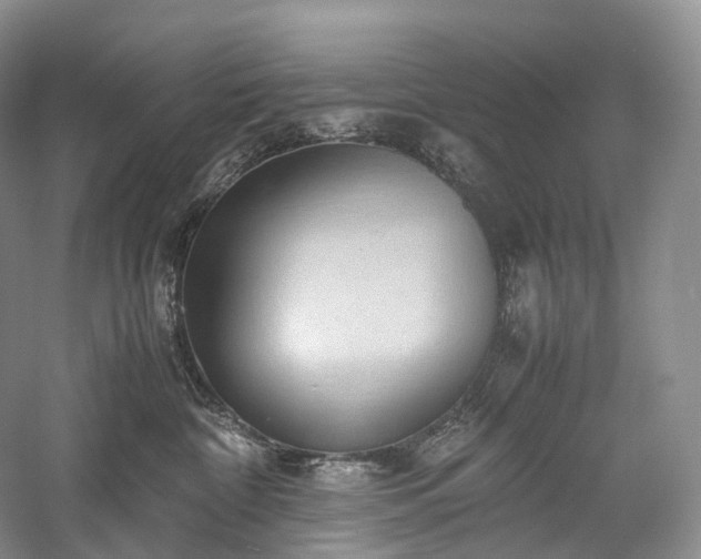 X0000058130332200509231125
