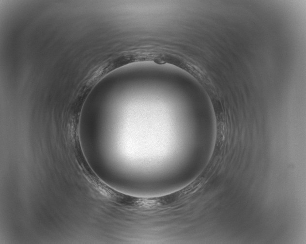 X0000058130333200509231125