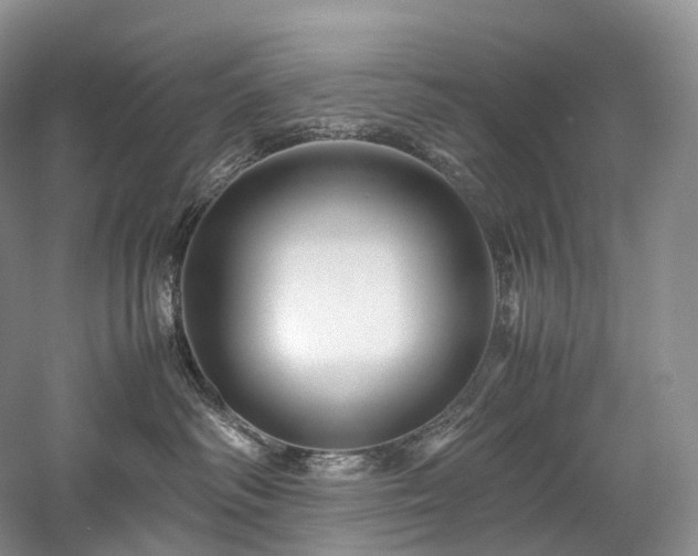 X0000058130334200509231125