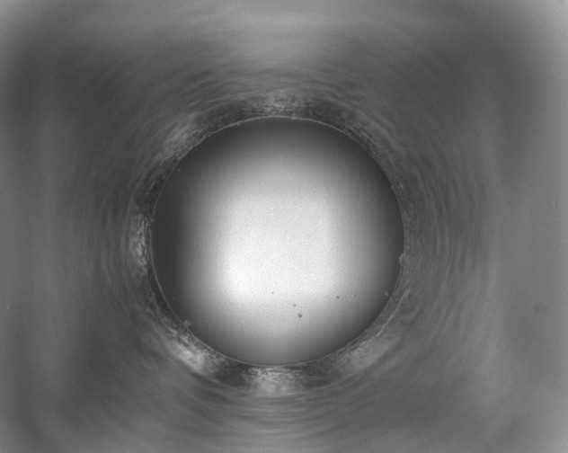 X0000058130336200509231125