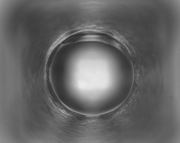 X0000058130344200509231124