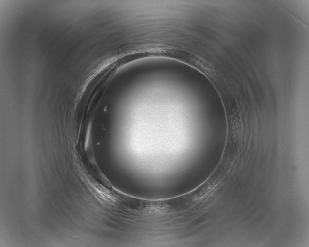 X0000058130350200509231124