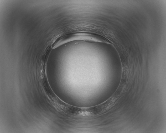 X0000058130360200509231125
