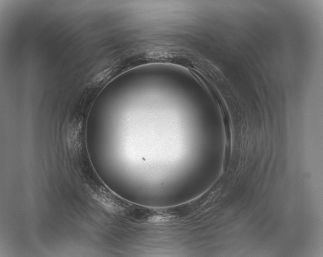 X0000058130364200509231125