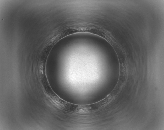 X0000058130368200509231125