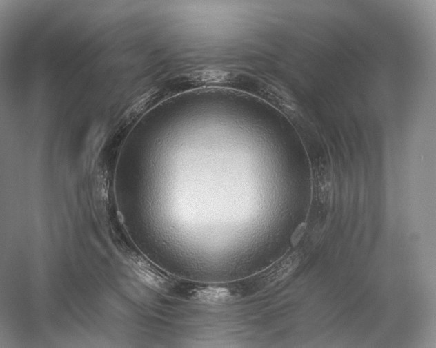 X0000058130374200509231125