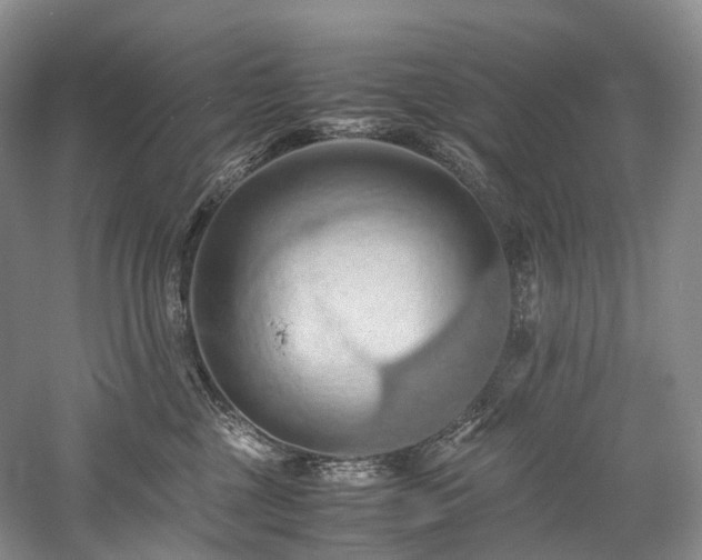 X0000058130377200509231125