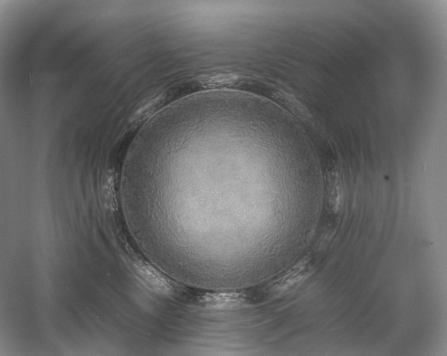X0000058130378200509231125
