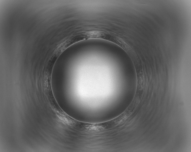 X0000058130379200509231125