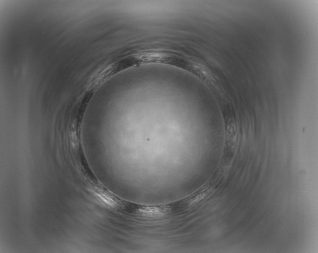 X0000058130381200509231125