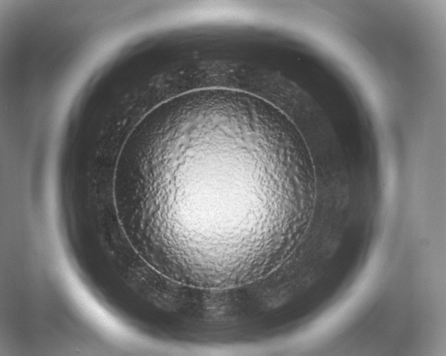 X0000058130382200509231125