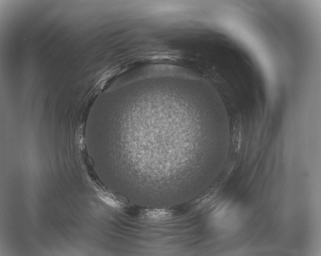 X0000058130383200509231125