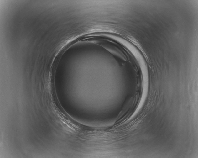 X0000058130387200509231124